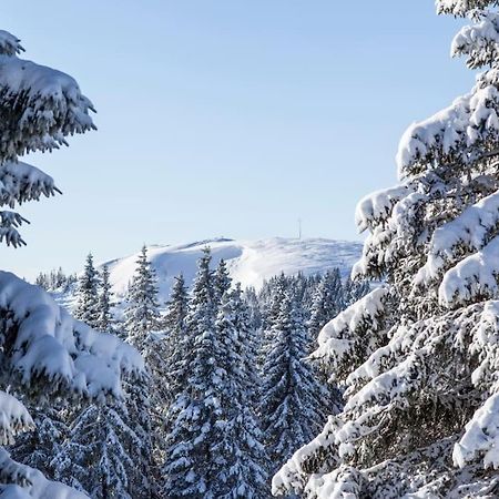 Waldblick Titisee Bagian luar foto