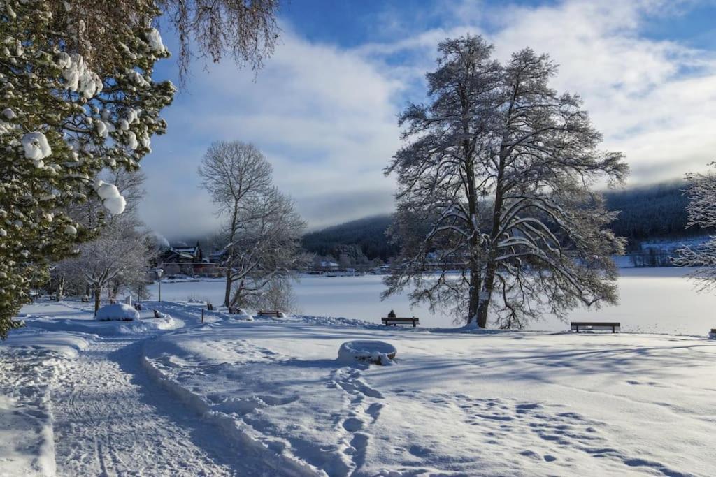 Waldblick Titisee Bagian luar foto