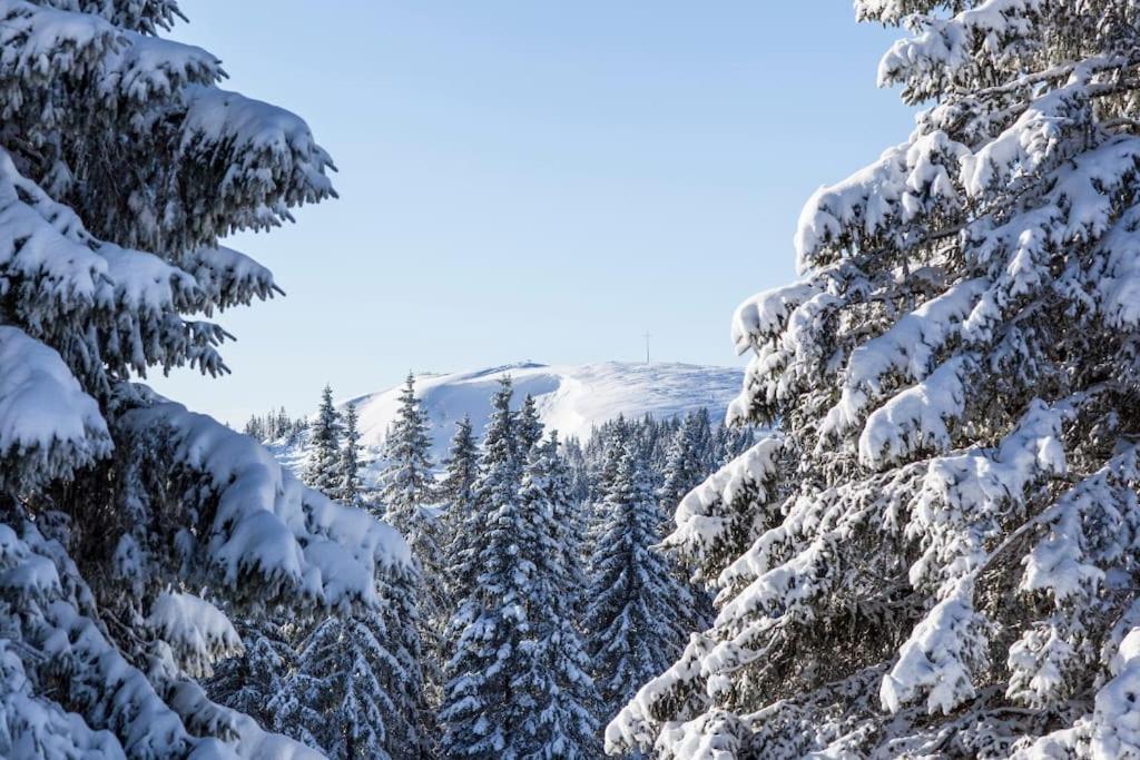 Waldblick Titisee Bagian luar foto