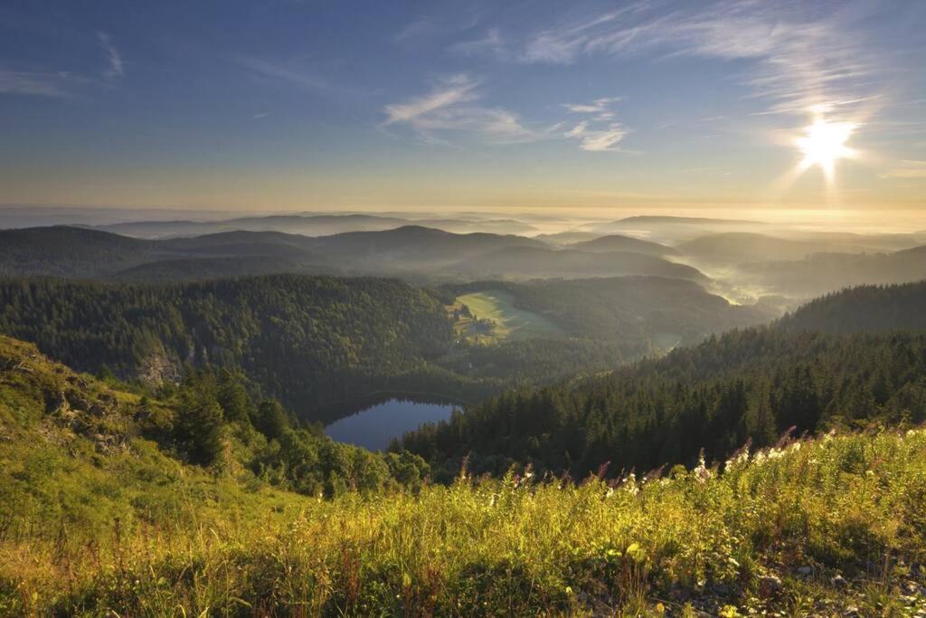 Waldblick Titisee Bagian luar foto