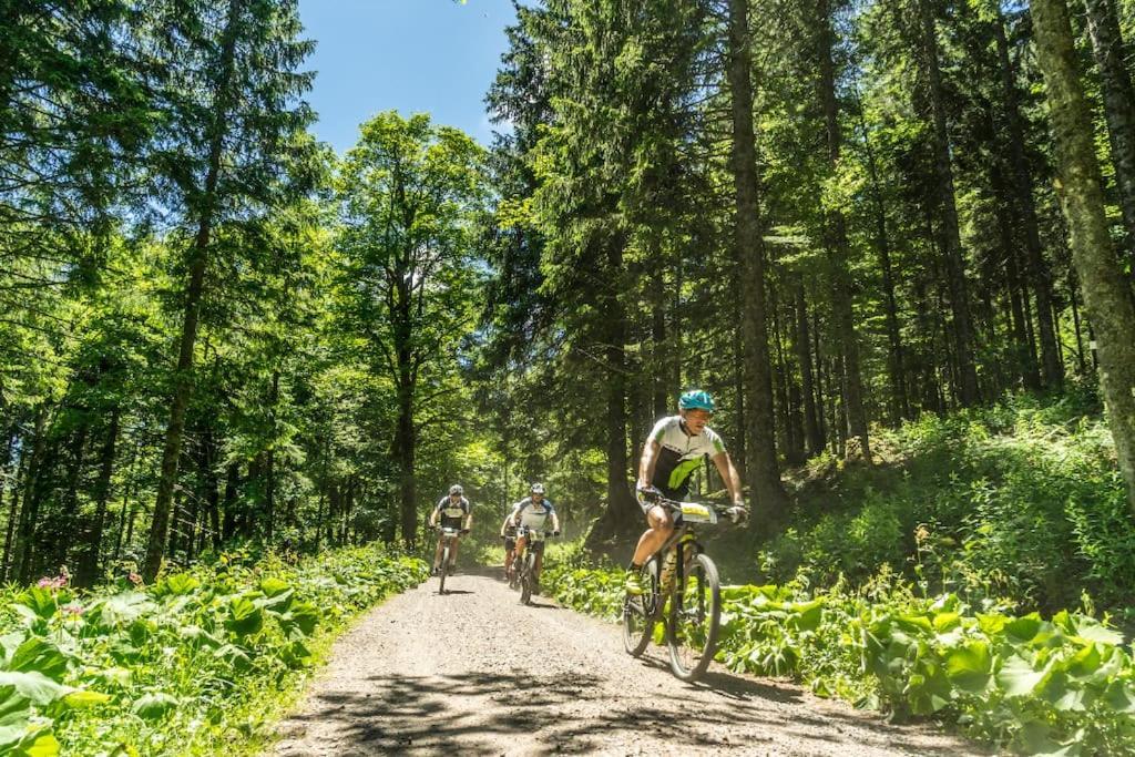 Waldblick Titisee Bagian luar foto