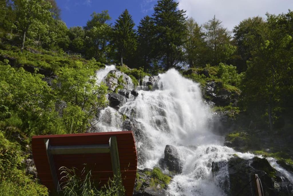 Waldblick Titisee Bagian luar foto